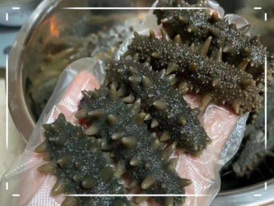 棒棰岛海参的内筋能吃吗