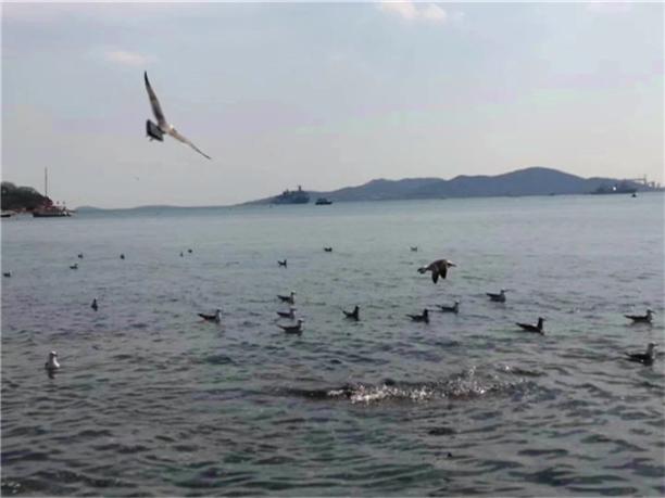 青岛海底世界西海岸海滨浴场三日游
