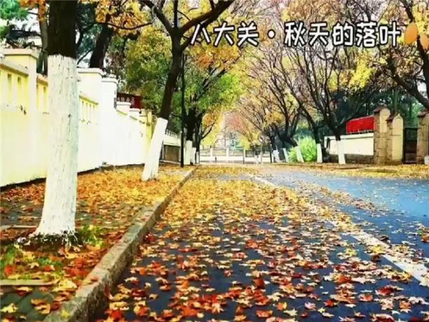 国庆节青岛烟台二日游跟团