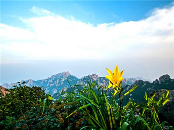 青岛金沙滩大珠山海滨浴场三日游