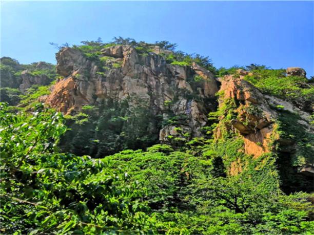 金沙滩崂山赤山风景区海驴岛五日游