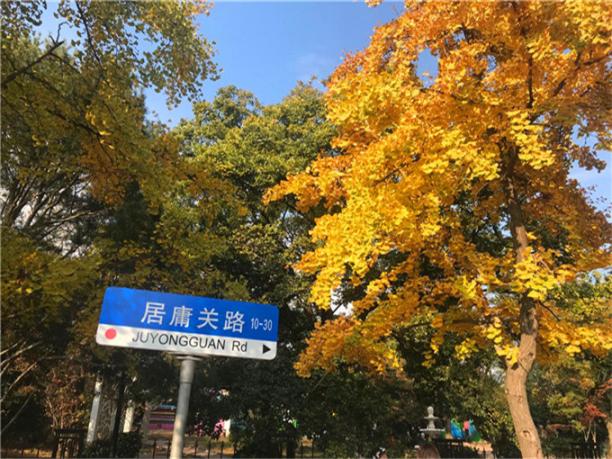 ﻿青岛烟台蓬莱旅游五日游路线