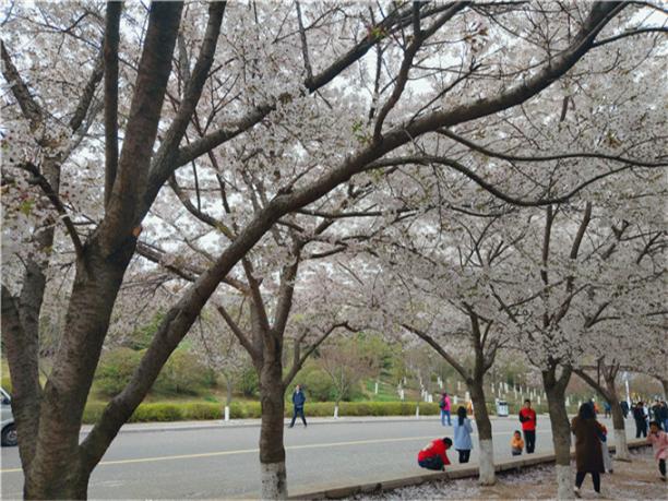 青岛海底世界世博园金沙滩三日游
