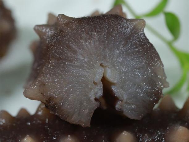 月子期间能吃海参鲍鱼虾吗
