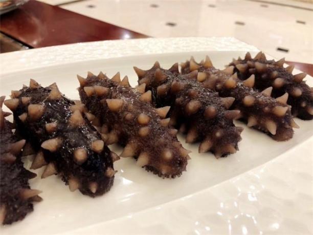 中国最好的海参品种在哪里
