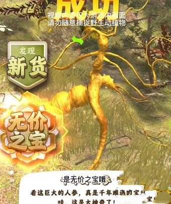 夺笋高手千年人参怎么获取