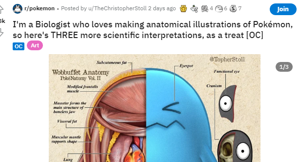 生物专家重新披露了鲍克蒙《解剖》真实版本的详细而严谨的描绘  第1张