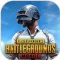 pubg mobile国际服下载苹果手机官方 v1.15.13