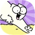 西蒙的猫冲浪汉化版