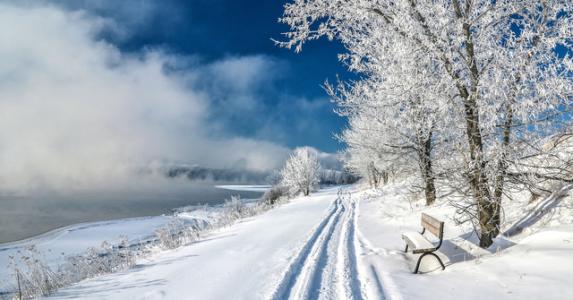 下列哪句诗是描写冬天雪景的
