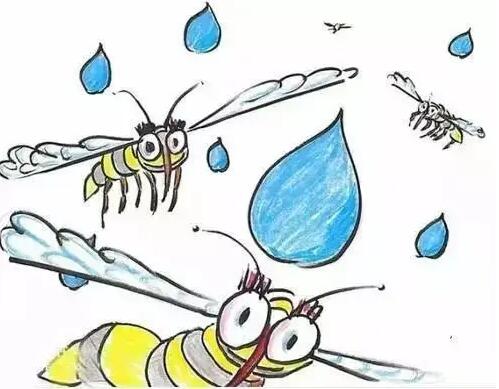 蚂蚁庄园6月9日：为什么下雨天时蚊子不会被雨滴砸死