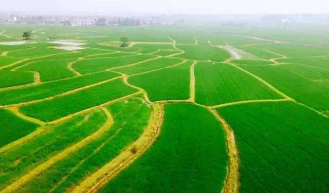 下列哪项不属于华北平原发展农业的三大障碍
