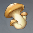 原神蘑菇图鉴