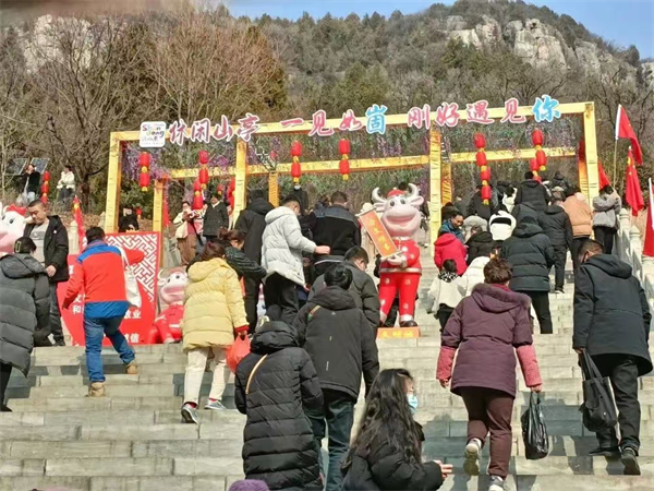 山亭熊耳山门票多少，山亭熊耳山好玩吗