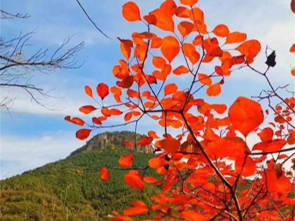 仙坛山温泉 地址，仙坛山温泉 地址查询