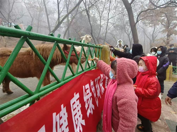 枣庄熊耳山有什么好吃的，枣庄熊耳山有什么好吃的美食