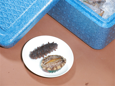 蹄筋海参鹌鹑蛋的做法大全,活海参的正确吃法