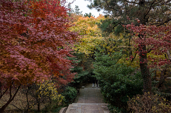 山东山东乳山有什么景点，山东乳山有什么旅游景点