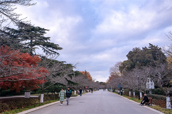 山东省内海边旅游景点，山东省内海边旅游景点有哪些