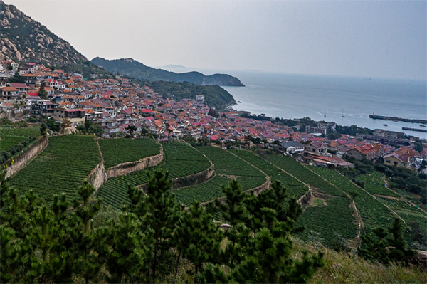 青岛景点小岛排名前十，青岛景点小岛排名前十图片