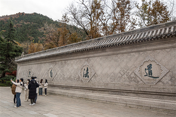 山东龙口岛旅游景点大全，山东龙口周边旅游景点大全