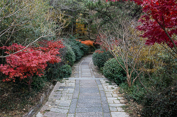 山东省牟平旅游景点，山东省牟平旅游景点介绍