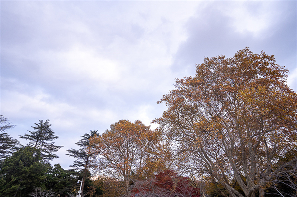 青岛景点门票是多少钱(青岛各景点的门票价格)