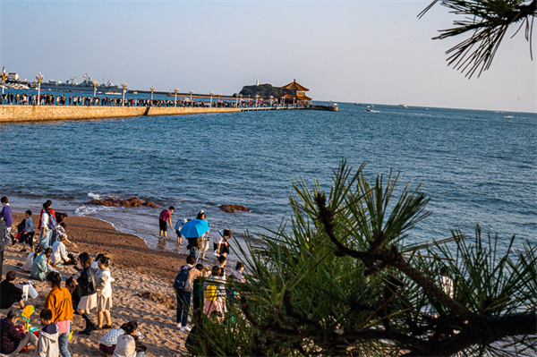 山东龙口赶海旅游景点，山东龙口赶海旅游景点介绍