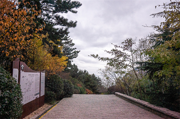 青岛开发区景点及门票 青岛开发区景点及门票多少钱