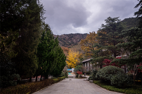 山东龙口银滩景点，山东龙口银滩景点有哪些