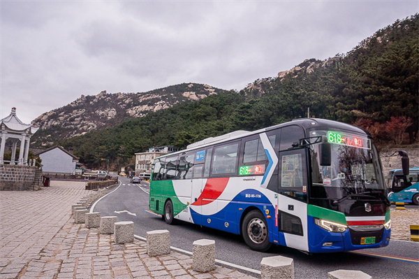 旅游纯玩团青岛5天4晚2025，青岛旅游团报名五日游