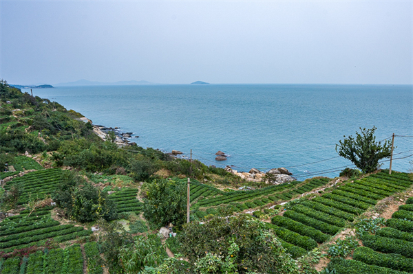 山东龙口景点大全排名榜，山东龙口景点大全排名榜图片