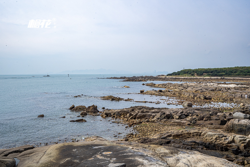 团购青岛海底世界门票价格？青岛海底世界门票怎么买便宜