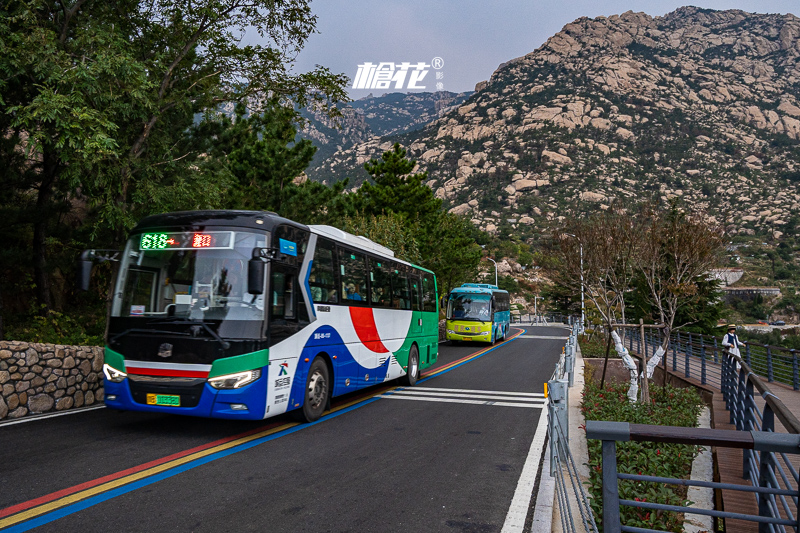 青岛极地海洋公园青岛海昌(青岛海昌极地海洋世界游玩攻略)