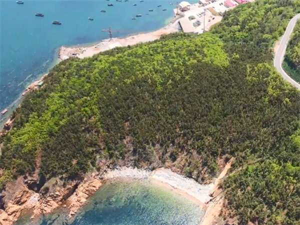 威海的海边旅游穿搭男,威海的海边旅游穿搭女