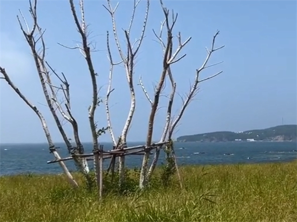 威海最出名的旅游景点,威海最东边的旅游景点